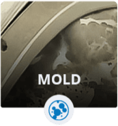 Mold